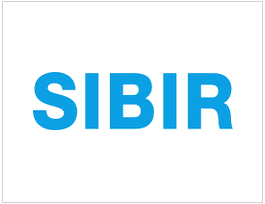 logo sibir